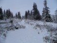 /album/nizke-tatry/p1090219-jpg/